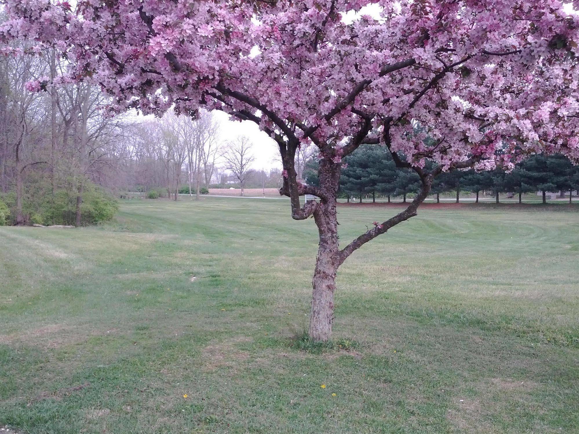 Brook Pointe Inn Syracuse ภายนอก รูปภาพ